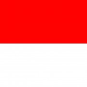 Flag of Indonesia